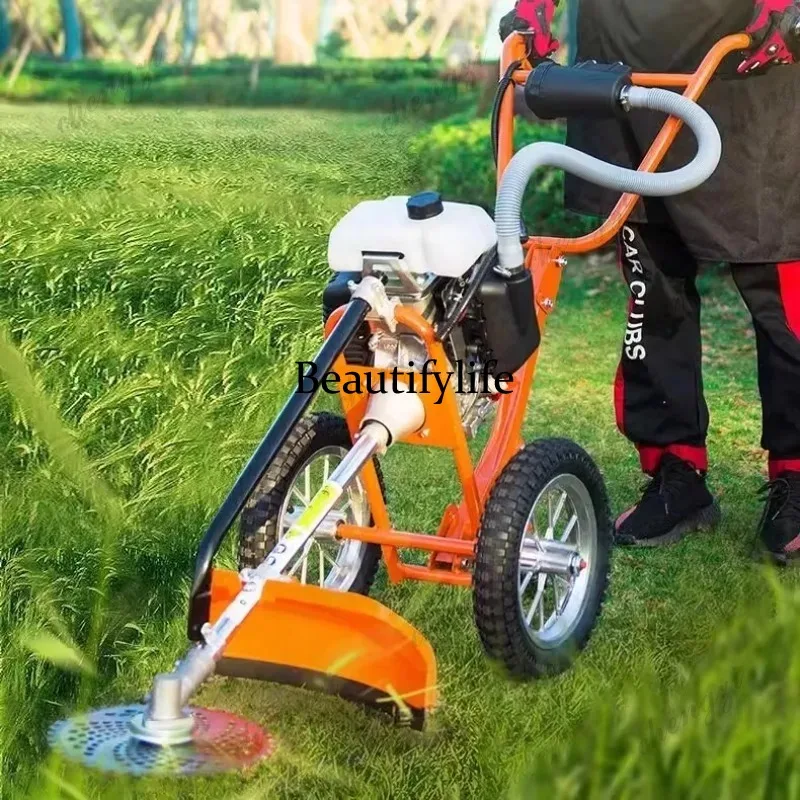 L178 Lawn mower hand push lawn - Power Tools Garden review and price