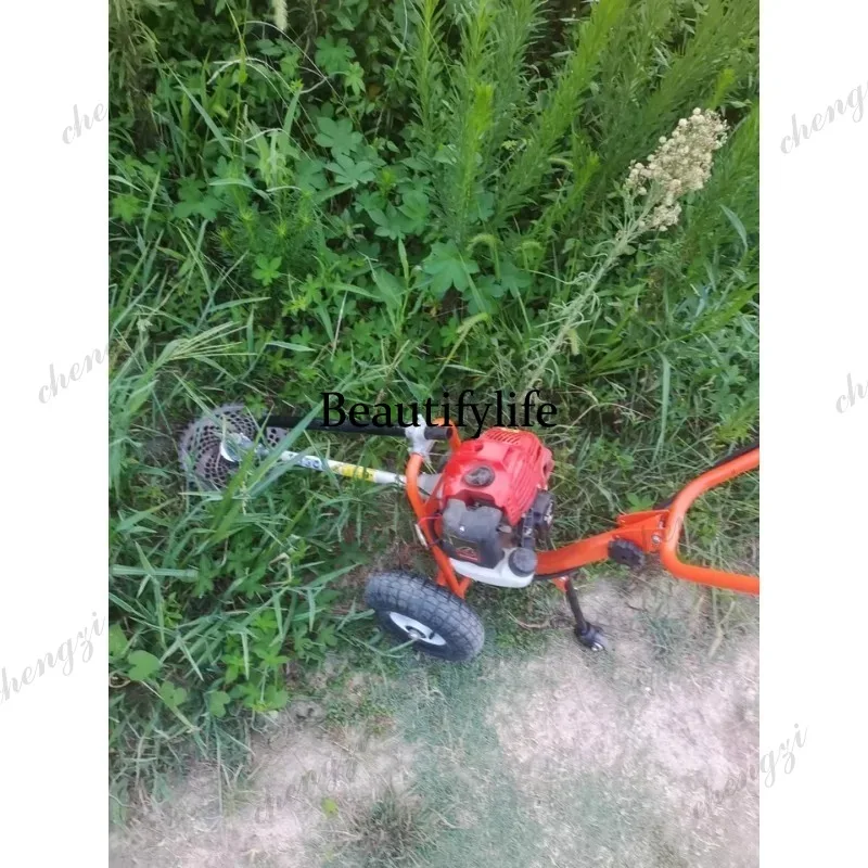L178 Lawn mower hand push lawn - Power Tools Garden review and price