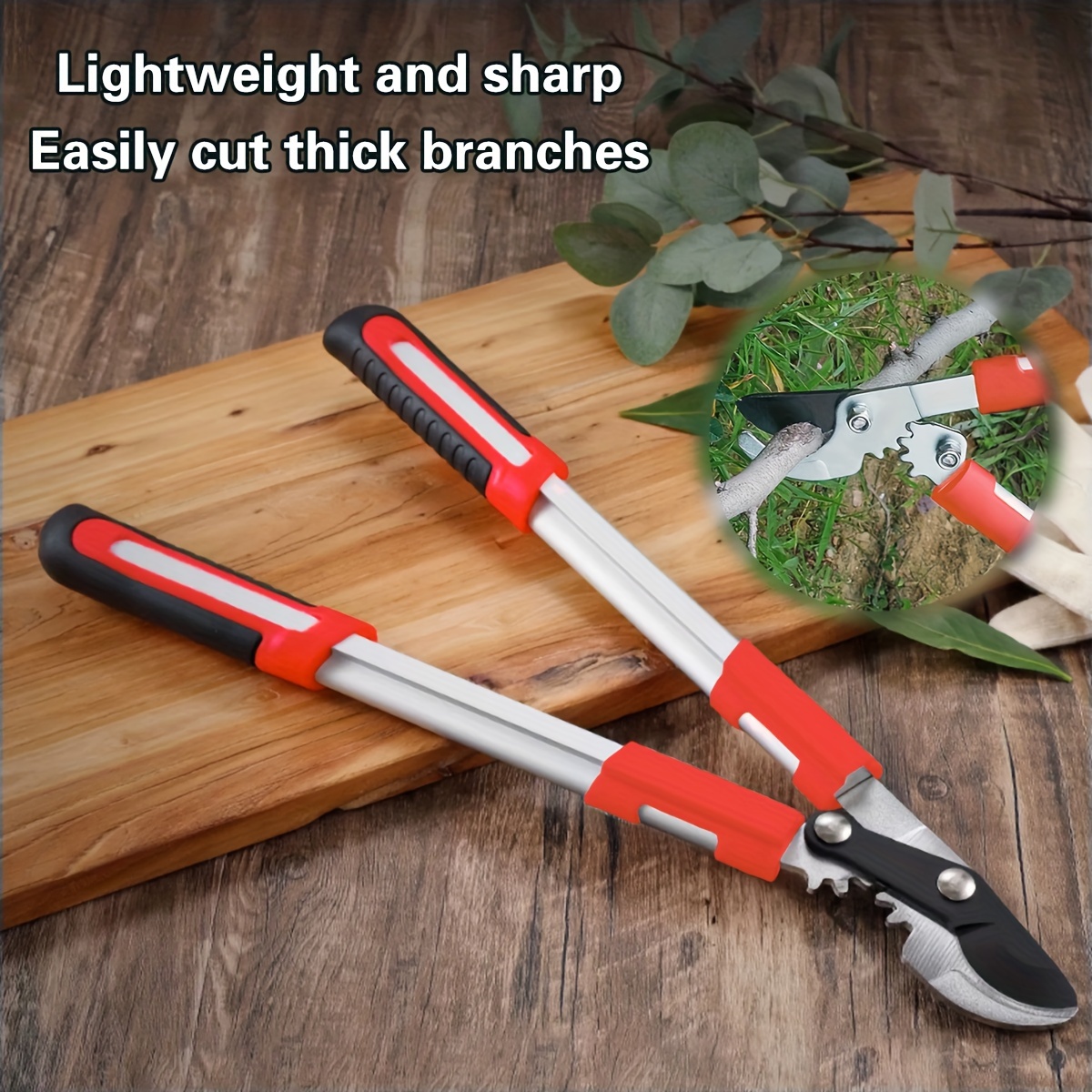 Pruning Shears Heavy Duty SK5  - Power Tools Garden review and price